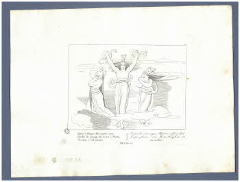 Visualizza l'immagine "Albo D 278, tav. 12"